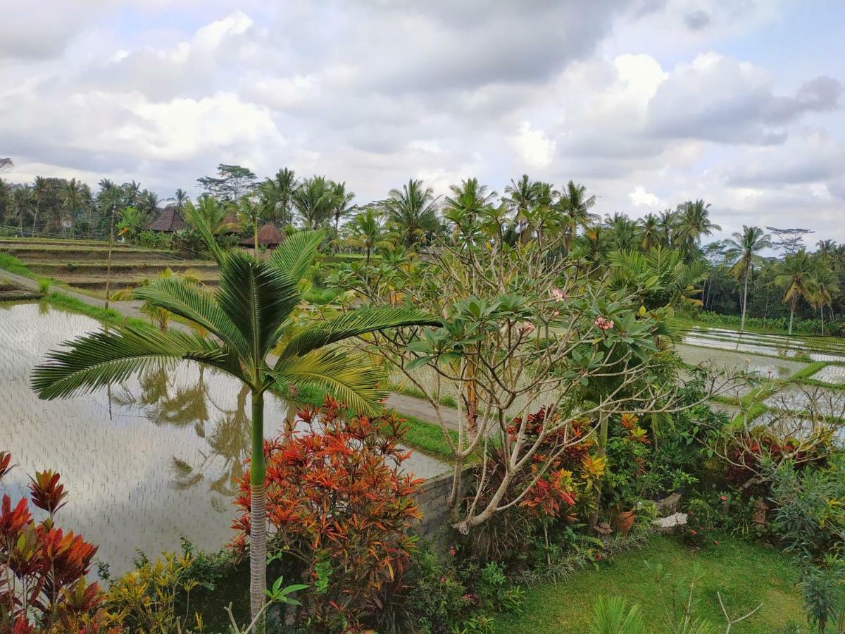 Umah Bali Villa Убуд Екстериор снимка